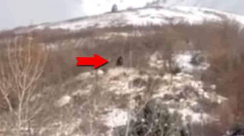 Видео: В горах Юты замечено существо, которое местные считают снежным человеком (видео)