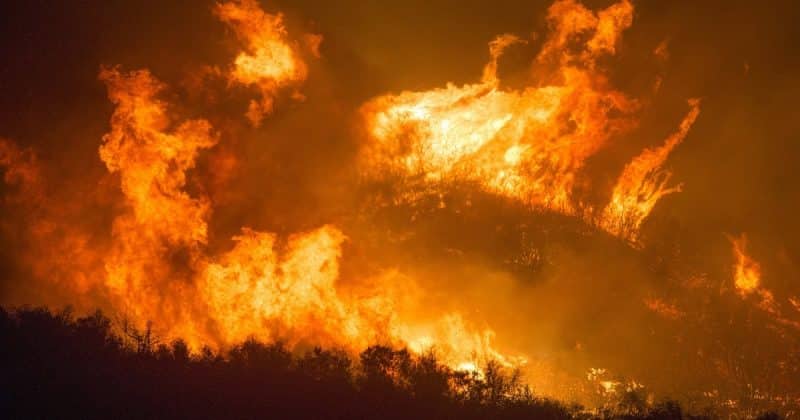 Погода: Пожар в Калифорнии стал самым «дорогостоящим» стихийным бедствием в мире за 2018 год