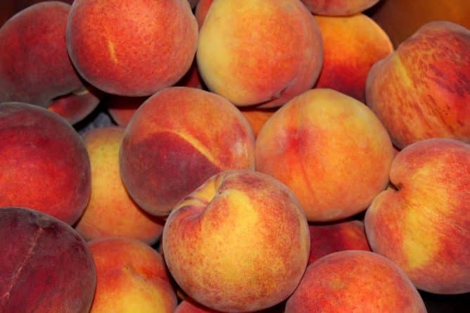 Полезное: Jac. Vandenberg отзывает персики, нектарины и сливы из крупнейших супермаркетов США из-за заражения листериями