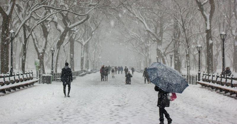 Погода: Штормовое предупреждение: в Нью-Йорке обещают снегопад и ледяной дождь