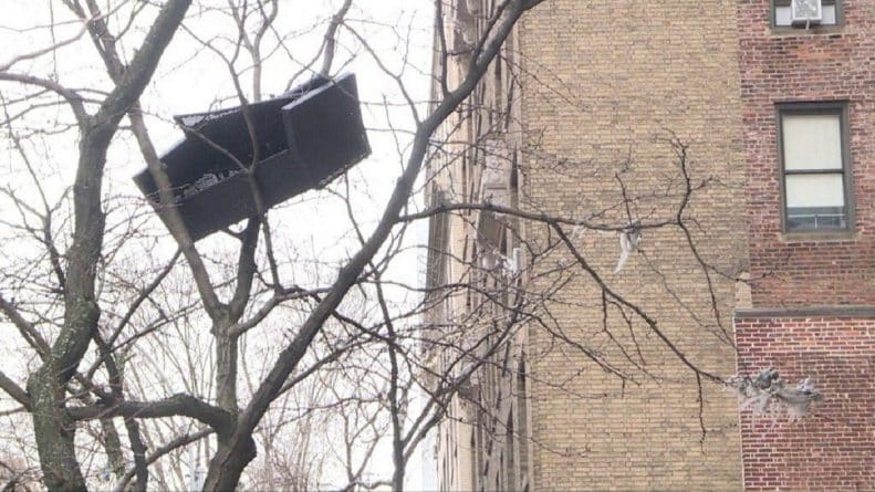 Локальные новости: В центре Нью-Йорка на дереве завис плетеный диван. Народ — в недоумении