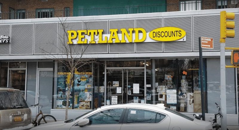Локальные новости: Petland Discounts закрывает магазины в Нью-Йорке, Нью-Джерси и Коннектикуте после смерти владельца