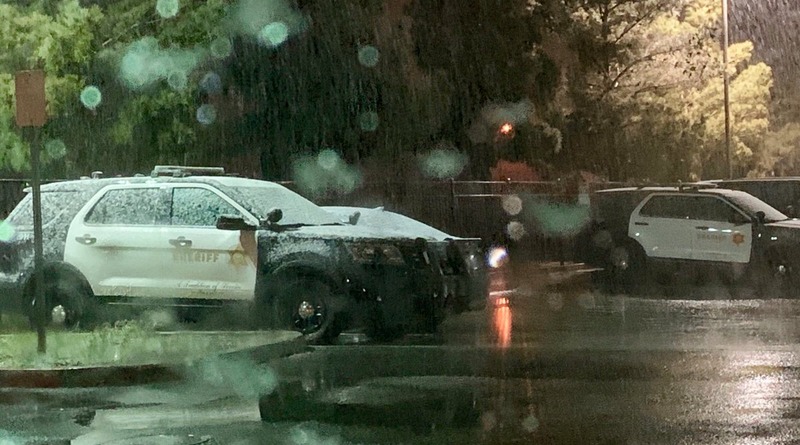 Погода: В Малибу, Голливуде и Пасадене выпал снег: некоторые местные жители увидели его впервые