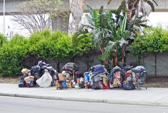 Здоровье: Округ Лос-Анджелес охватила эпидемия тифа. Всему виной горы мусора на улицах