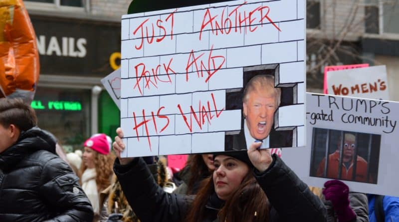 Американский политический активизм эпохи Трампа 15022019 Колонки: Американский политический активизм эпохи Трампа