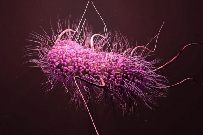 Наука: Ученые разрабатывают новые методы борьбы с супербагами, против которых бессильны антибиотики