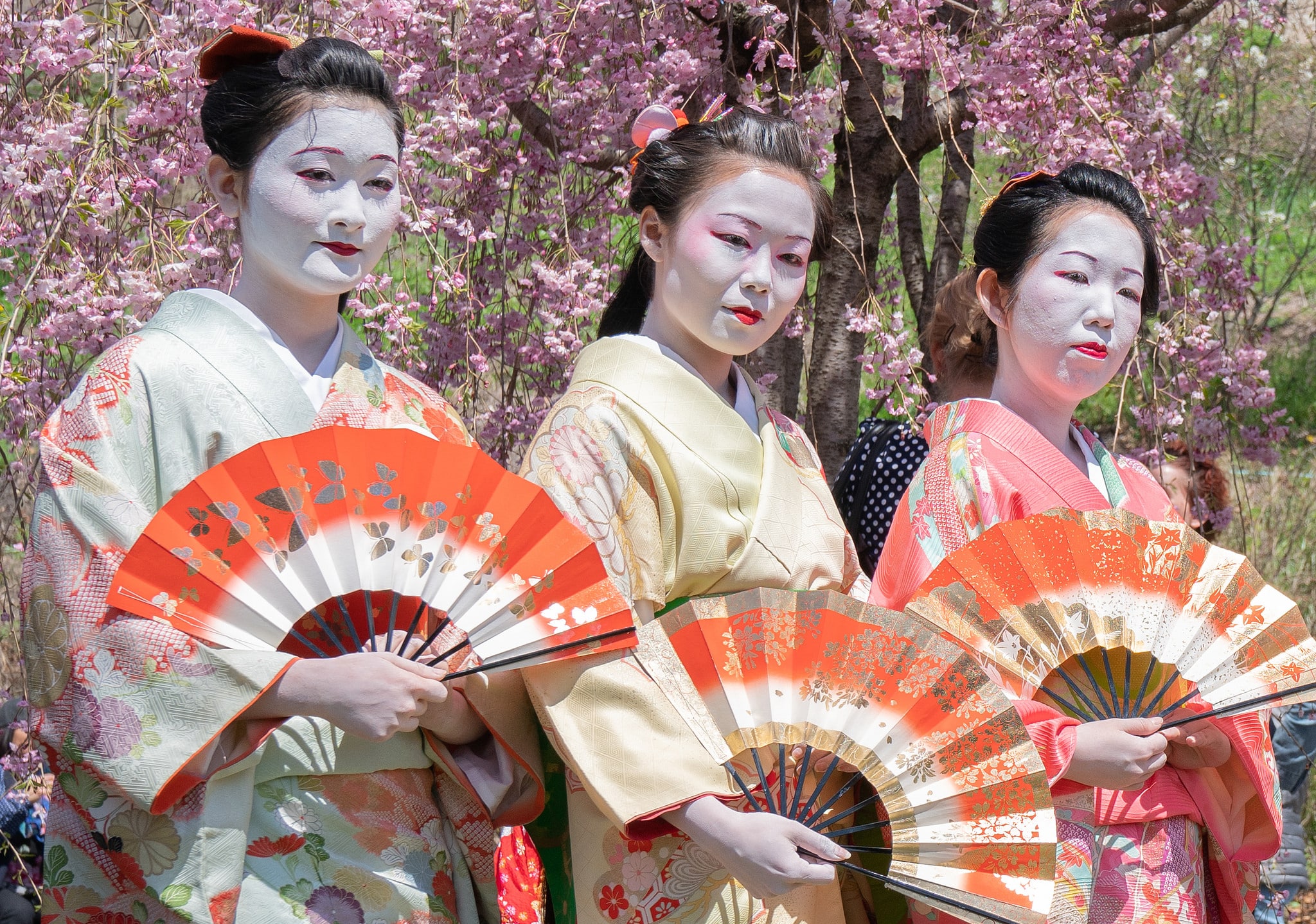 Локальные новости: Чем будет удивлять фестиваль «Сакура Мацури-2019» рис 6