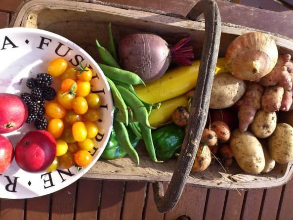 Здоровье: «Грязная дюжина»: Исследователи составили топ-12 овощей и фруктов с наибольшим содержанием пестицидов в этом году