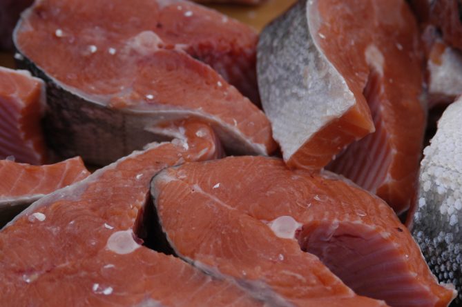 Здоровье: FDA разрешили ввоз и продажу генно-модифицированного «лосося-Франкенштейна» в США