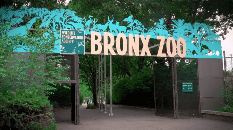 Афиша: Этой весной в Bronx Zoo откроется посвященный динозаврам сафари-парк — самый большой в США