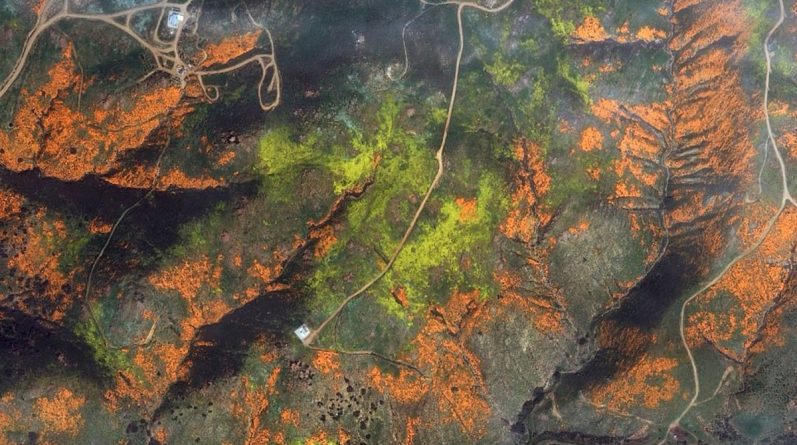 Локальные новости: Невероятное цветение маков в Калифорнии видно даже из космоса (фото)