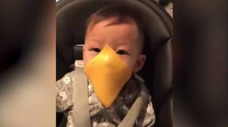 Популярное: «Человечество обречено»: родители бросают сыр в лицо детям и снимают это на видео