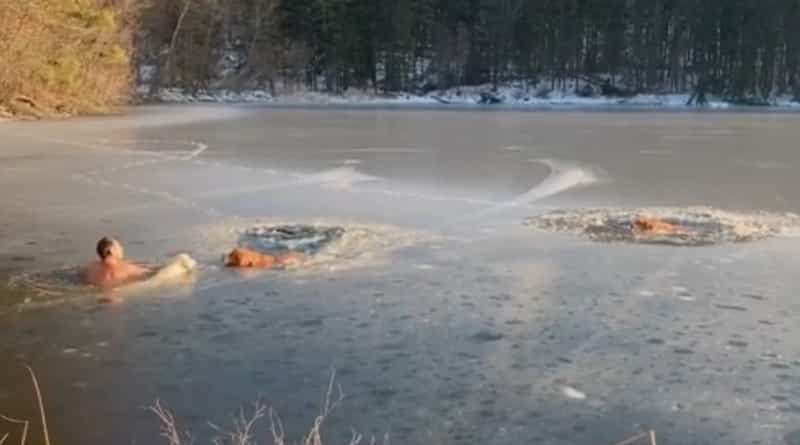 Локальные новости: Тимофей Юрьев из Нью-Йорка, выросший в Сибири, бросился в ледяную воду, чтобы спасти тонущих собак