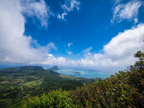 Здоровье: На острове Маврикий найдены лекарственные травы, которые могут остановить рост раковых клеток