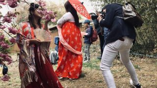Колонки: Как проходит Фестиваль японской культуры и цветения вишни в Бруклинском ботаническом саду