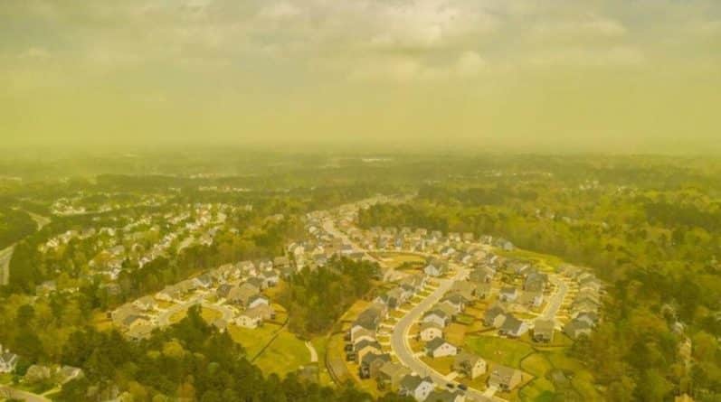 Здоровье: «Пыльцепокалипсис»: Северную Каролину накрыло «смогом» из пыльцы