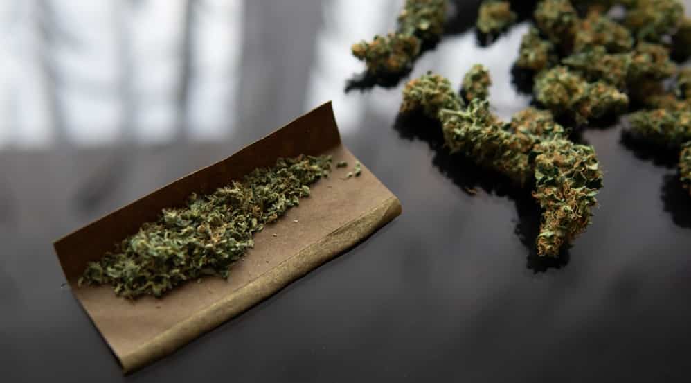 Разрешена ли марихуана в америке в россии хотят легализовать наркотики