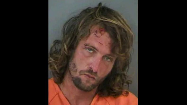 Происшествия: Во Флориде полиция арестовала пьяного мужчину после того, как он ел пасту «ненадлежащим образом»