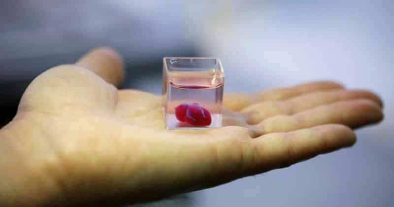 Здоровье: Ученые создали первое в мире сердце, напечатанное на 3D-принтере с помощью клеток пациента