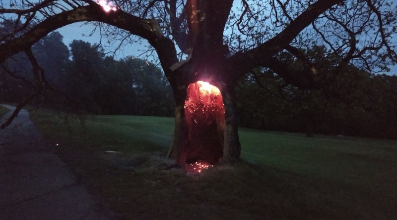 Погода: Молния, ударившая в дерево, зажгла его изнутри – и это оказалось впечатляющим зрелищем (фото)