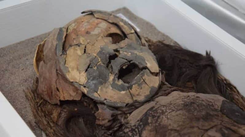 В мире: Сюрприз! Самые древние в мире мумии нашли вовсе не в Египте