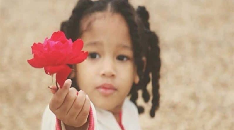 Происшествия: Исчезновение Малии Дэвис | Девочка вошла в дом вслед за отчимом — и с тех пор ее никто не видел