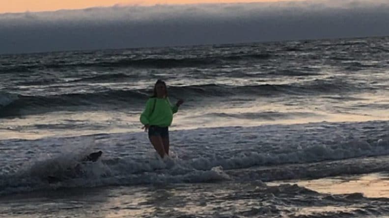 Происшествия: В Калифорнии 13-летнюю девочку укусил морской лев. У животного обнаружили признаки отравления