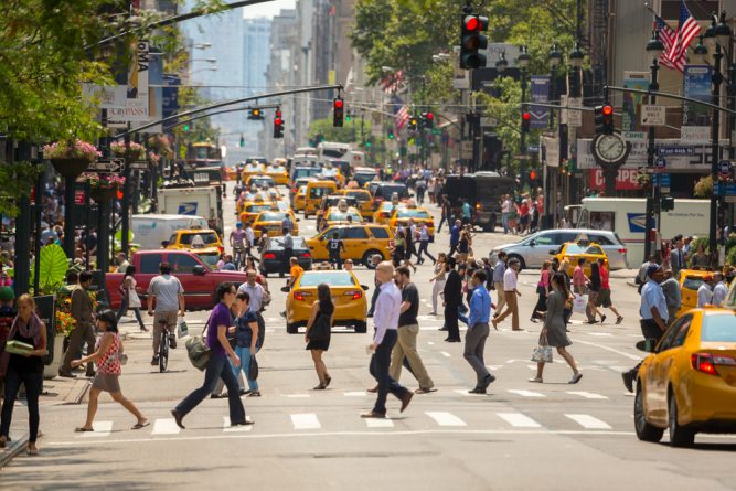 Закон и право: Ассамблея штата Нью-Йорк одобрила закон о предоставлении водительских прав нелегалам