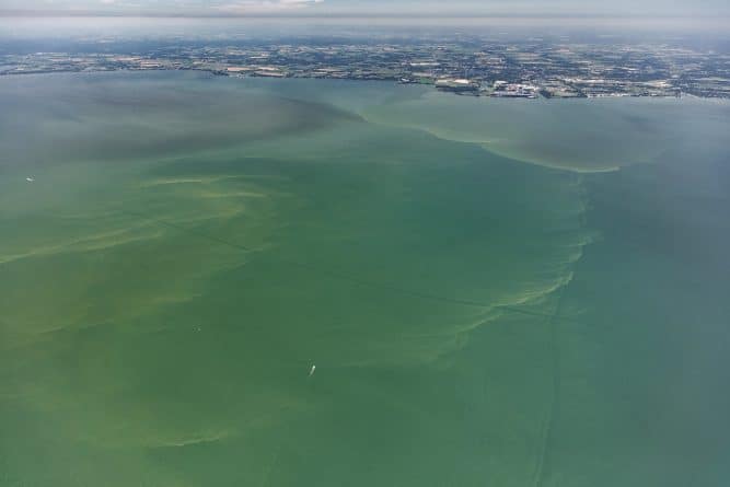 Общество: Все пляжи Миссисипи закрыли из-за токсического цветения водорослей