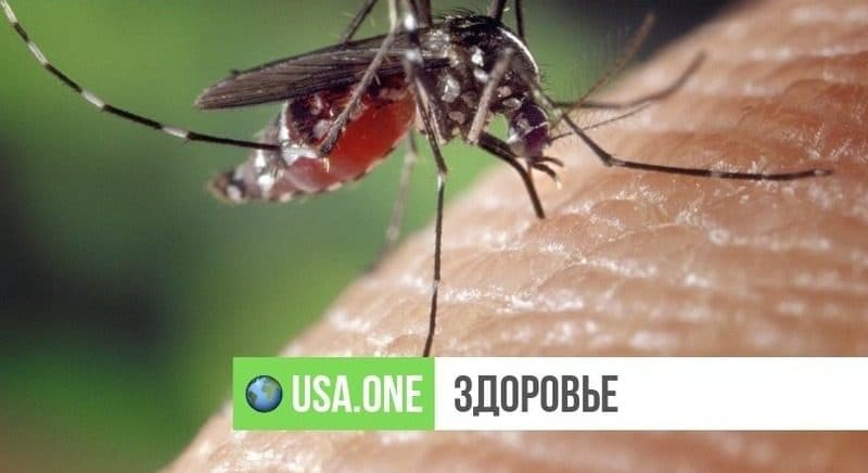 Здоровье: В трех боро Нью-Йорка от укусов комара можно заразиться лихорадкой Западного Нила