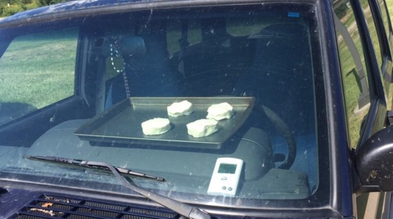 Погода: Убийственная жара: в США провели эксперимент – в закрытой на солнце машине испеклось печенье (фото)