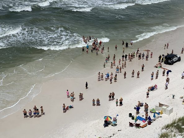 Локальные новости: Добрые самаритяне образовали человеческую цепь, чтобы спасти пловцов, не справившихся с сильными волнами