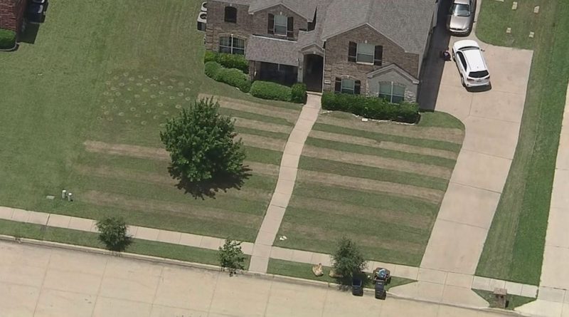 Локальные новости: Подросток из Техаса выстриг американский флаг на лужайке у дома погибшего солдата