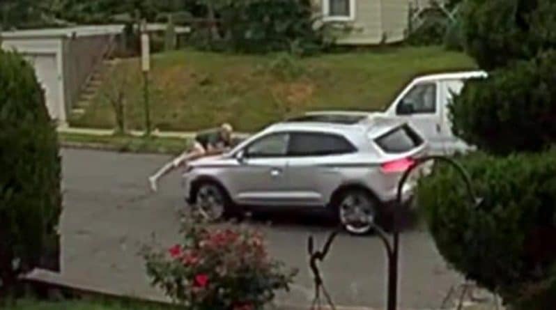 Локальные новости: Остановить любой ценой: мужчина запрыгнул на капот движущегося авто, чтобы предотвратить угон