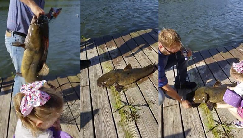 Локальные новости: 4-летняя малышка поймала гигантскую 33-футовую рыбину, весившую больше нее