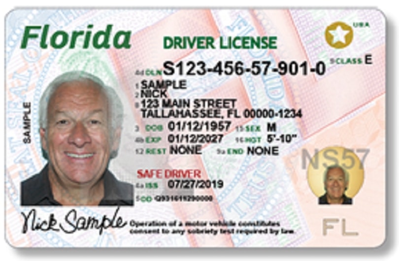 check status of drivers license fl