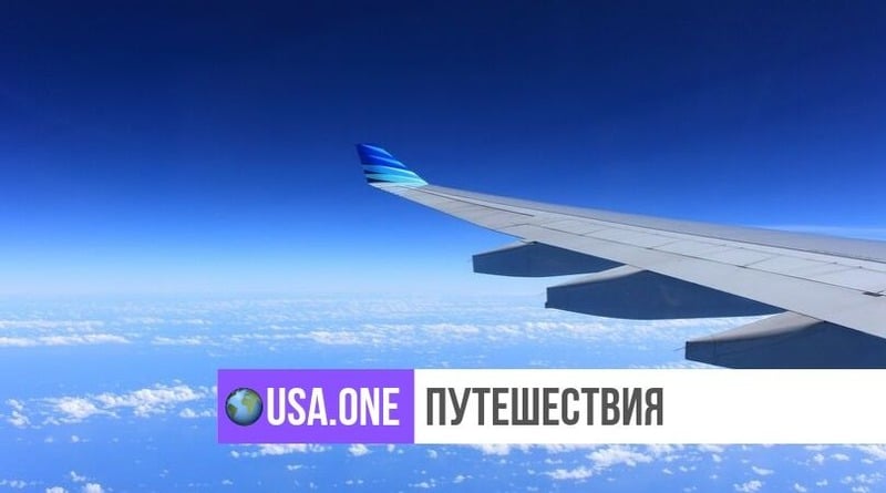 Путешествия: Убитая горем семья обвиняет авиакомпанию в том, что их собака «поджарилась заживо» во время полета