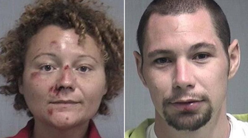 Локальные новости: Во Флориде пара арестованных занялась сексом на заднем сидении полицейского автомобиля