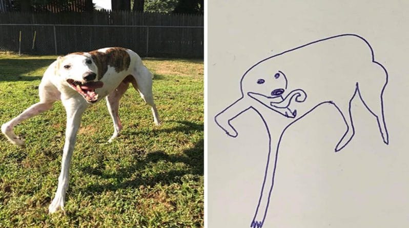 Досуг: Парень попробовал нарисовать свою собаку и своим скетчем попал в самую точку