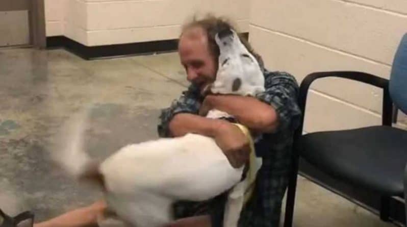 Досуг: Трогательное воссоединение пропавшей собаки и ее бездомного хозяина попало на видео