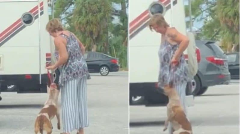 Закон и право: Вирусное видео, на котором женщина бьет и почти душит собаку, помогло найти и арестовать обидчицу животного