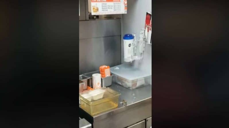 Локальные новости: На вирусном видео крыса прыгнула в раскаленный фритюр в ресторане быстрого питания