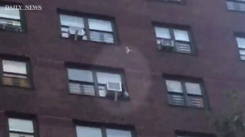 Локальные новости: Молодая мама стала мишенью для нападок после жуткого видео, на котором ребенок повис на кондиционере 13 этажа