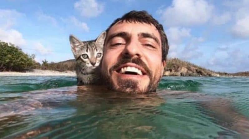 Досуг: Настоящей сенсацией в сети стали видео котенка, обожающего плавать в океане со своим «папой»