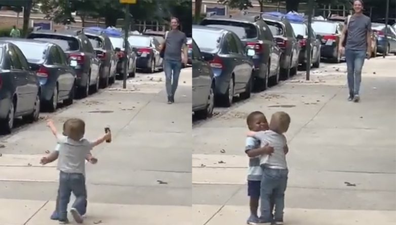 Локальные новости: Двухлетние лучшие друзья бегут друг к другу с большими обнимашками на безумно милом видео