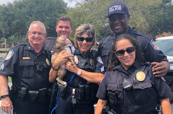 Локальные новости: Полицейский из Флориды подарил новый дом щенку, который остался совсем один перед ураганом Дориан