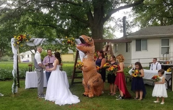 Полезное: Подружке невесты сказали, что она может прийти на свадьбу в чем угодно — так что она оделась Тираннозавром Рексом