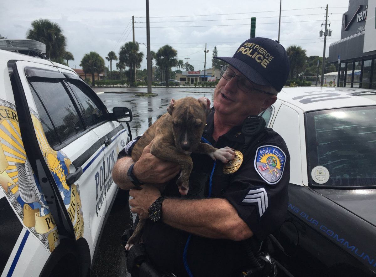 фотография щенка с одним из офицером