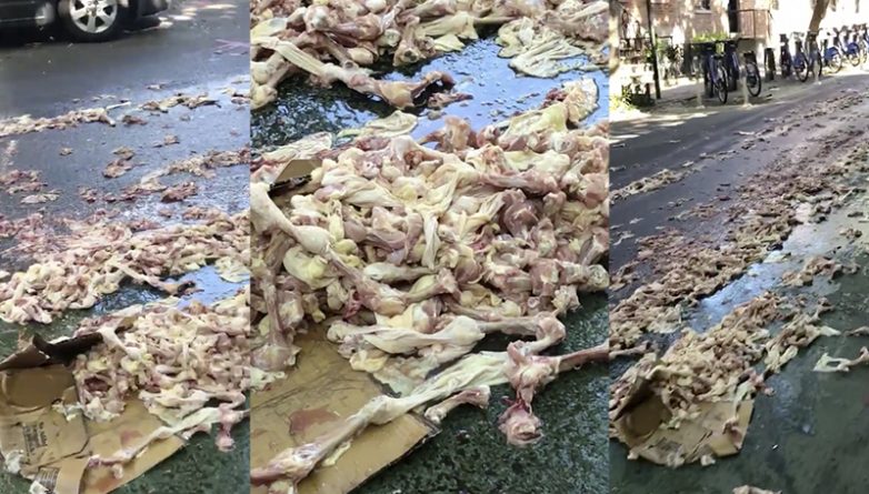 Локальные новости: Проснувшись утром, жители Бруклина обнаружили, что вся улица усеяна сырой курицей