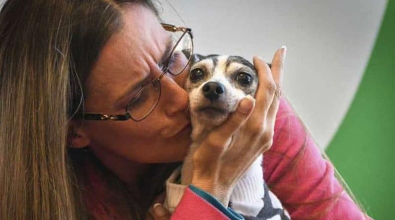 Досуг: Женщина не потеряла надежду вновь увидеть свою собаку и нашла ее через 12 лет